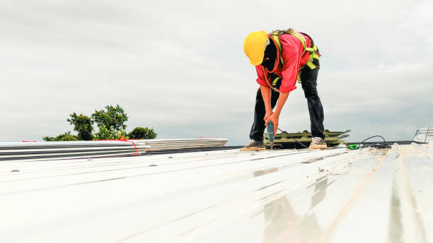 Best Gutter Installation and Repair  in Randleman, NC