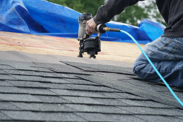 Best Roof Insulation Installation  in Randleman, NC